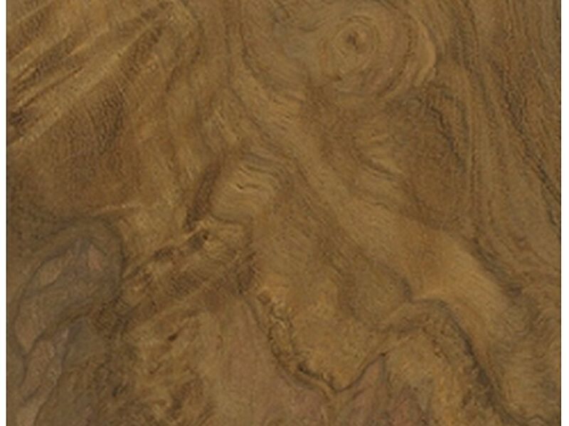 Madera Verdolago Bolivia