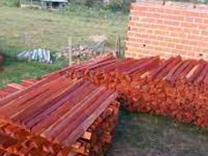Madera Cuchi Bolivia