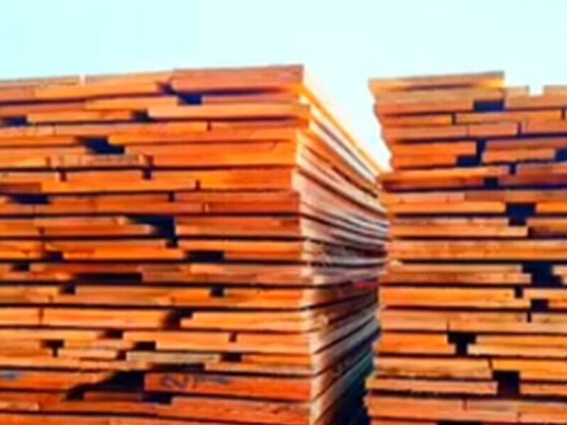 Madera Ochoo Bolivia