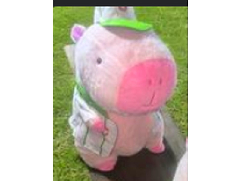 Capibara rosa uniforme verde Bolivia