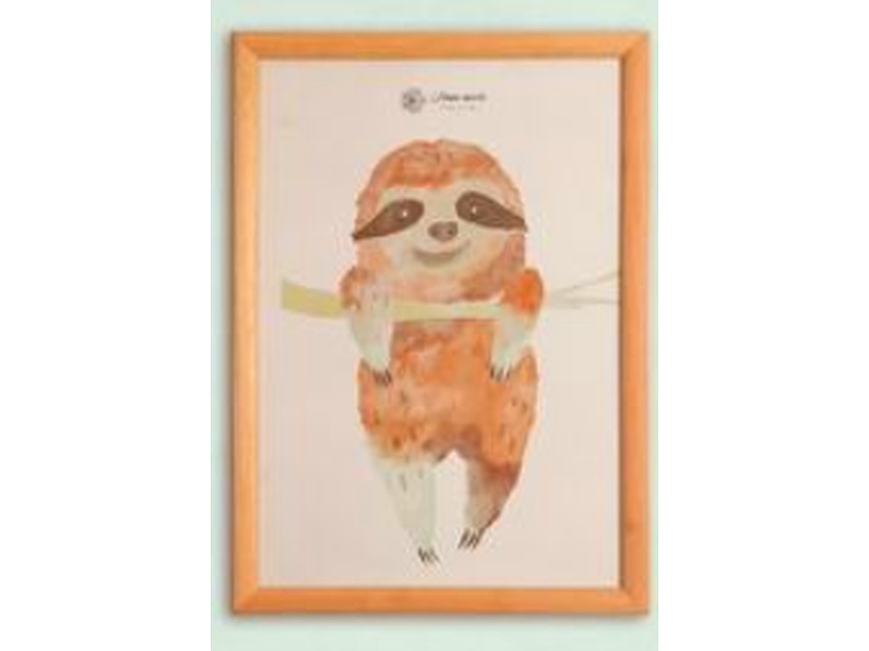 Cuadro oso perezoso Bolivia