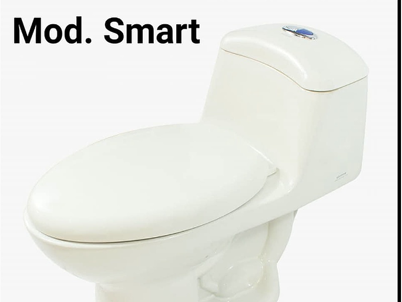 Sanitario modleo smart