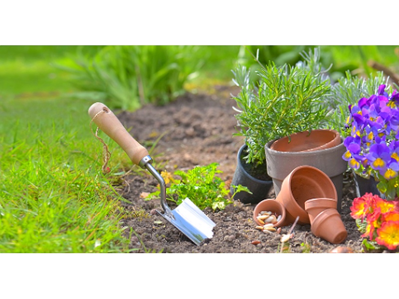 Servicio de Jardinería Bolivia