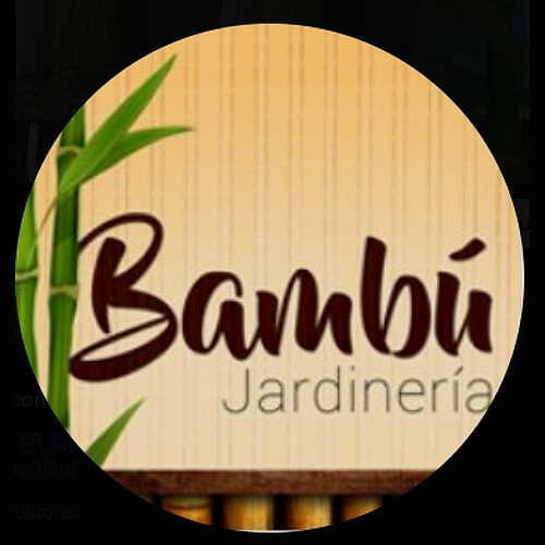 Bambú jardinería
