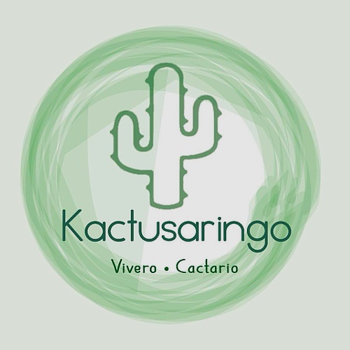 Kactusaringo