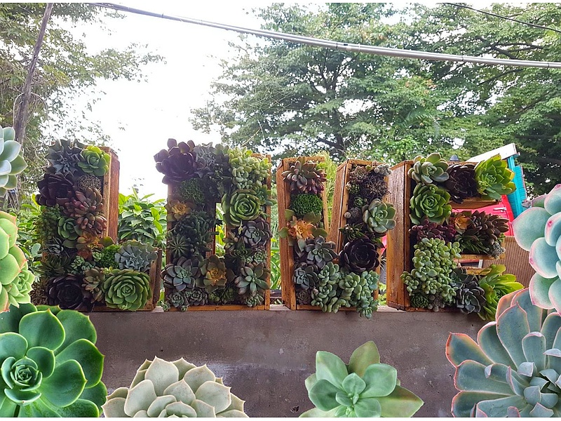 Paisajismo Santa Cruz