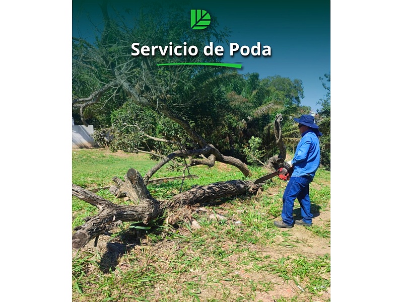 SERVICIO DE PODA Bolivia