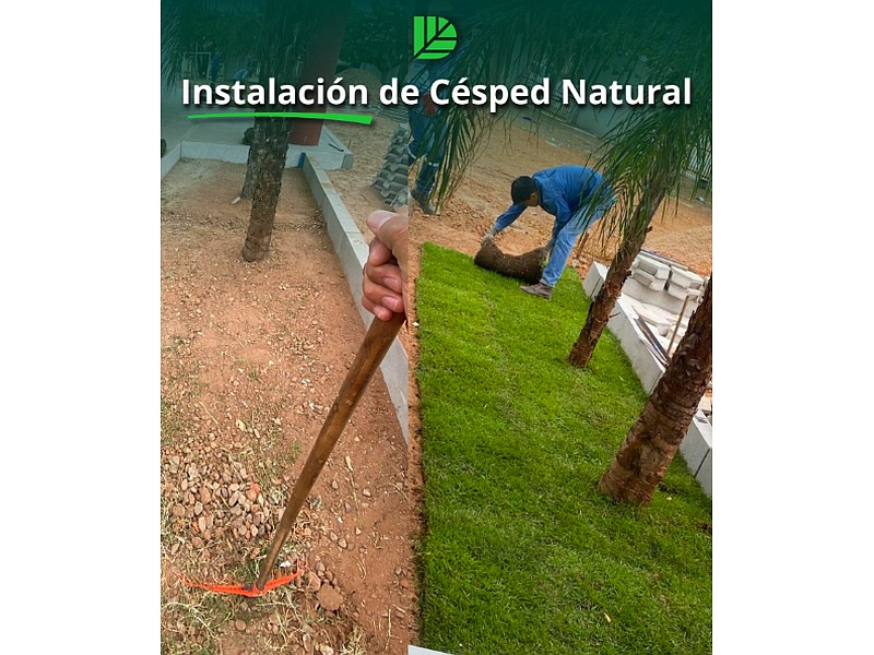 Instalación de césped Bolivia