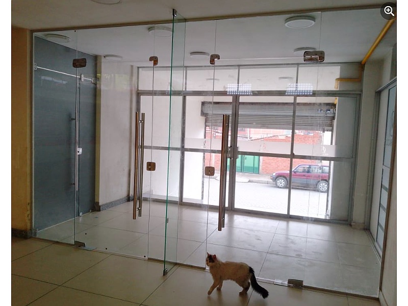 puerta de cristal La PAZ Carpintería en Aluminio ALUMAR